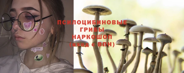 крисы Снежногорск